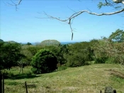 thumb_12_fincacoyote.jpg