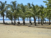 thumb_14_laloma1.jpg