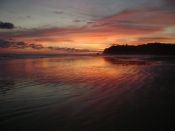 thumb_33_106.jpg