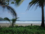 thumb_41_053.jpg