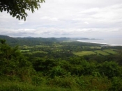 thumb_45_viewb.jpg