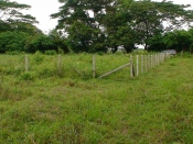 thumb_47_vla1.jpg
