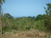 thumb_48_caletas009.jpg