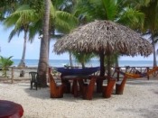 thumb_4_barandclub1.jpg